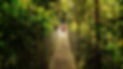 piqsels.com-id-otyou.jpg
