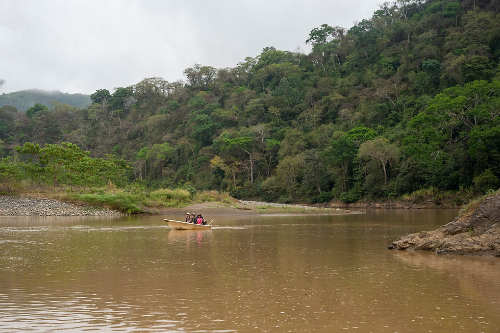 RutaAves0002.jpg