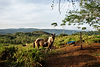RutaAves0150.jpg