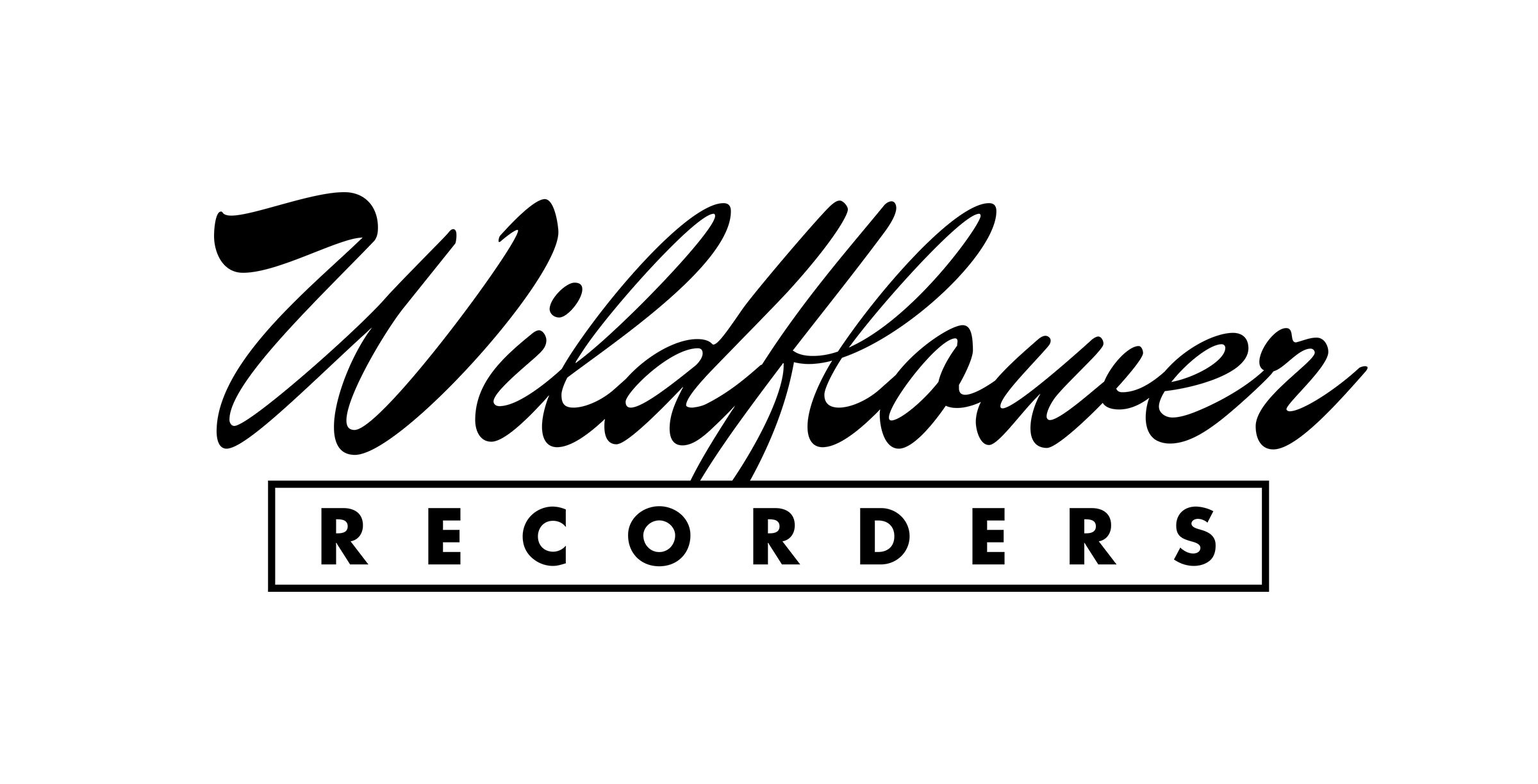 Real studio photo for Wildflower Recorders