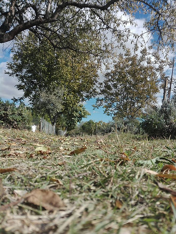 El clima y las horas de luz cambian con las estaciones por lo tanto nosotros tenemos que adaptarnos a la naturaleza.