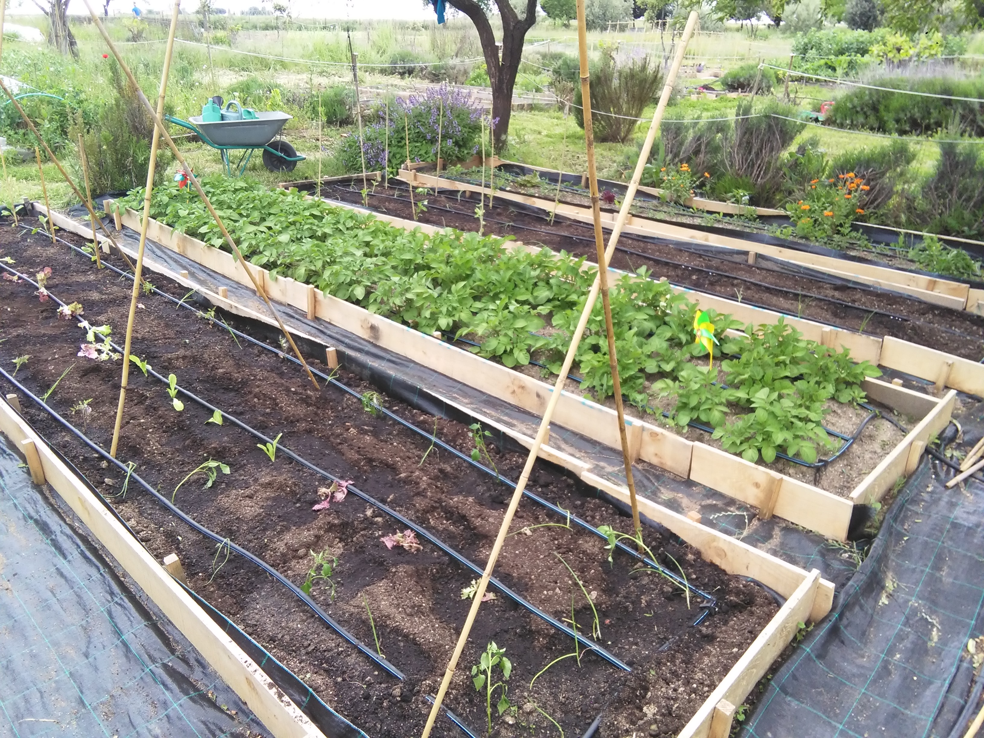 Cultivalia Huertos Ecológicos Parla