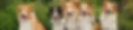 about us pic fixed.webp