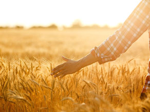 A Prayer for the Nation