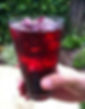 Agua de Jamaica (Chica) 20oz