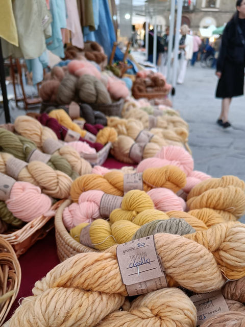 Immagine espositore Fiera delle arti tessili Firenze