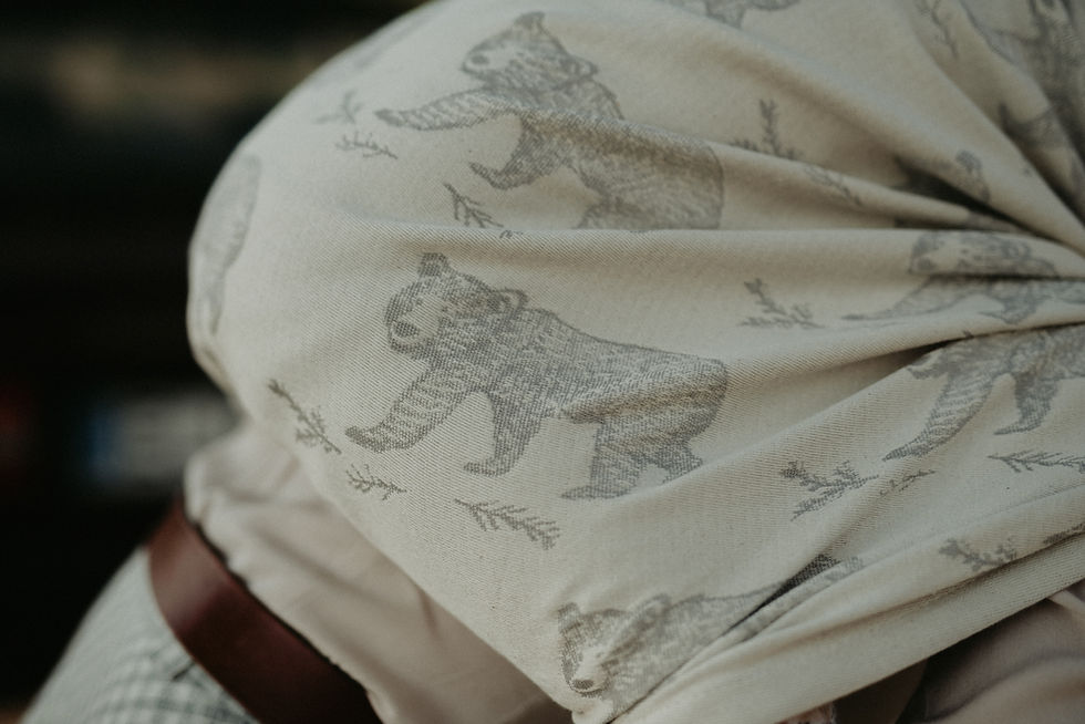 Miniatura: Les oursons gris