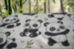 Pandas-🐼 闪闪团团熊 (Shǎn Shǎn Tuán Tuán Xióng)