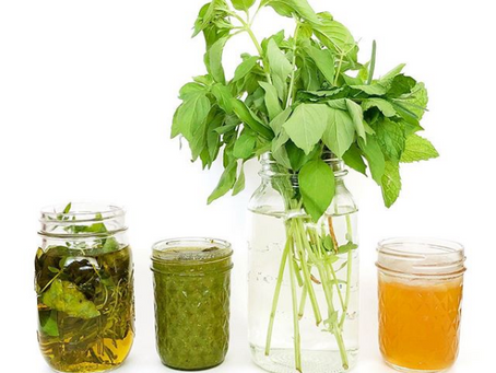 Fresh Herb Tips & Recipes
