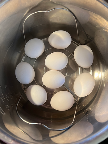 Egg sitting in an Instant Pot