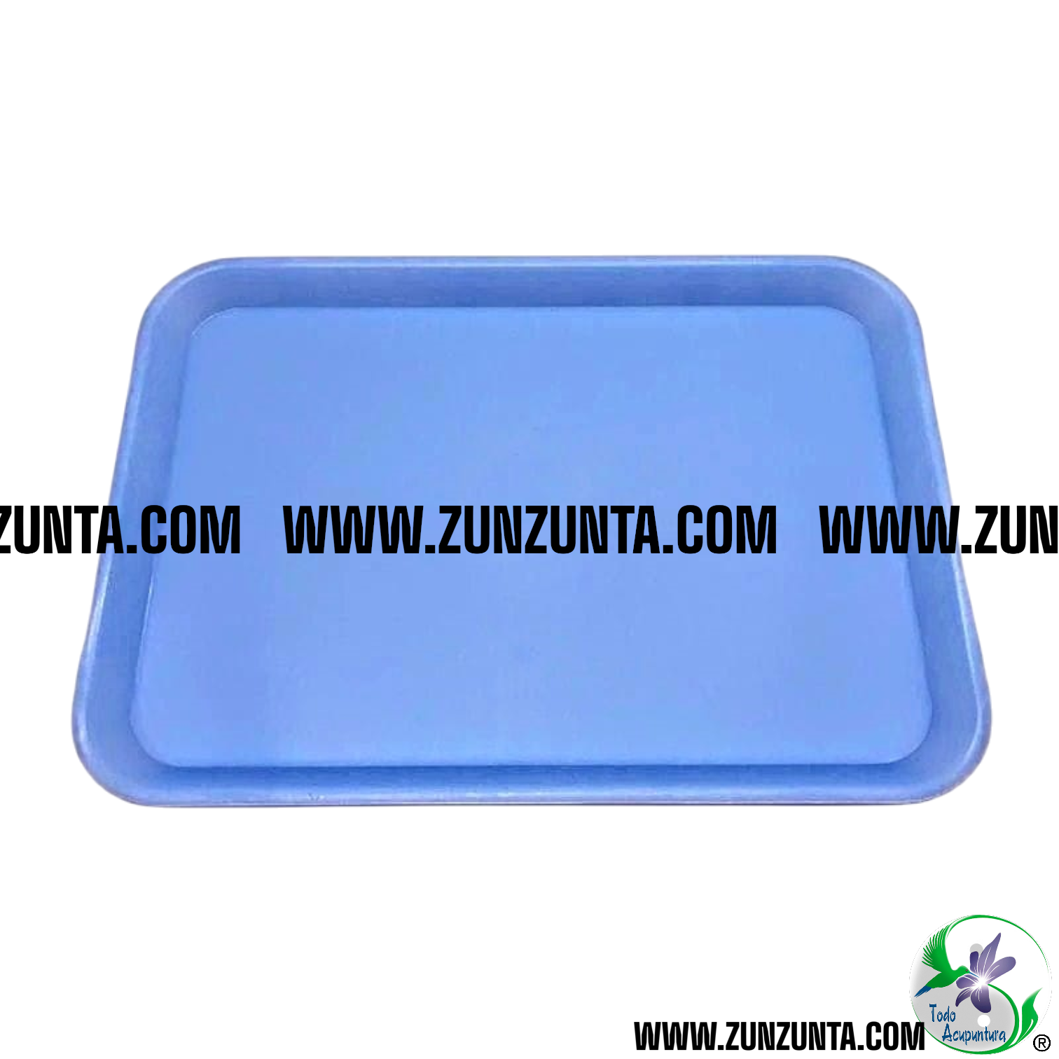 Mini Bandeja Esterilizable 23.5x16x2.5cm