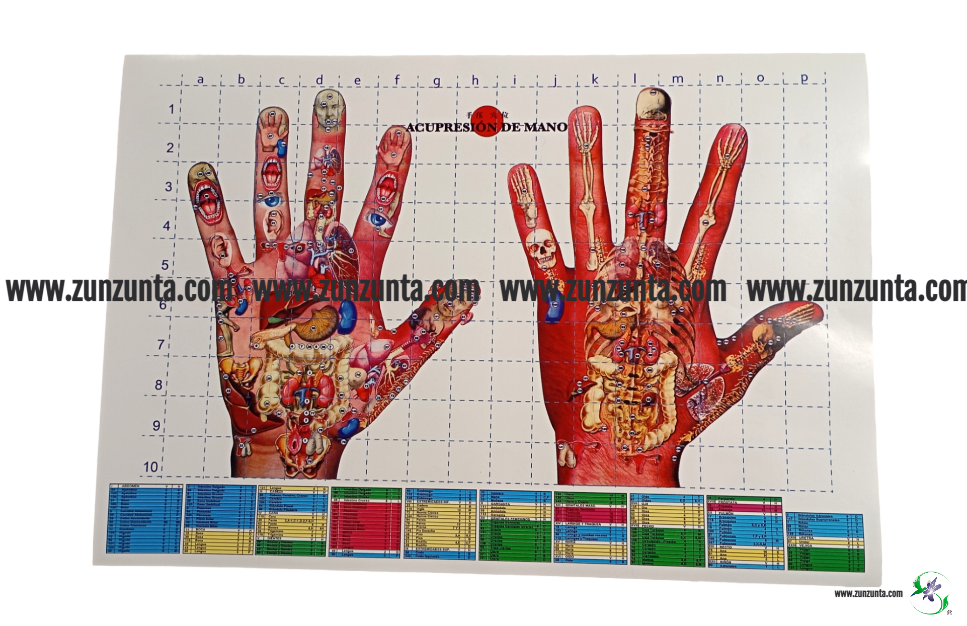 Póster "Acupresión de manos"