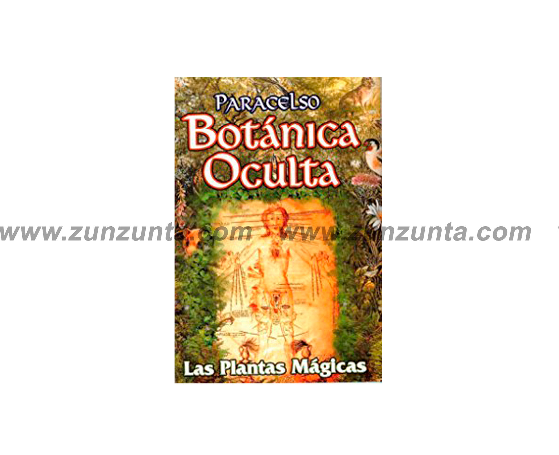 Libro “Botánica oculta”