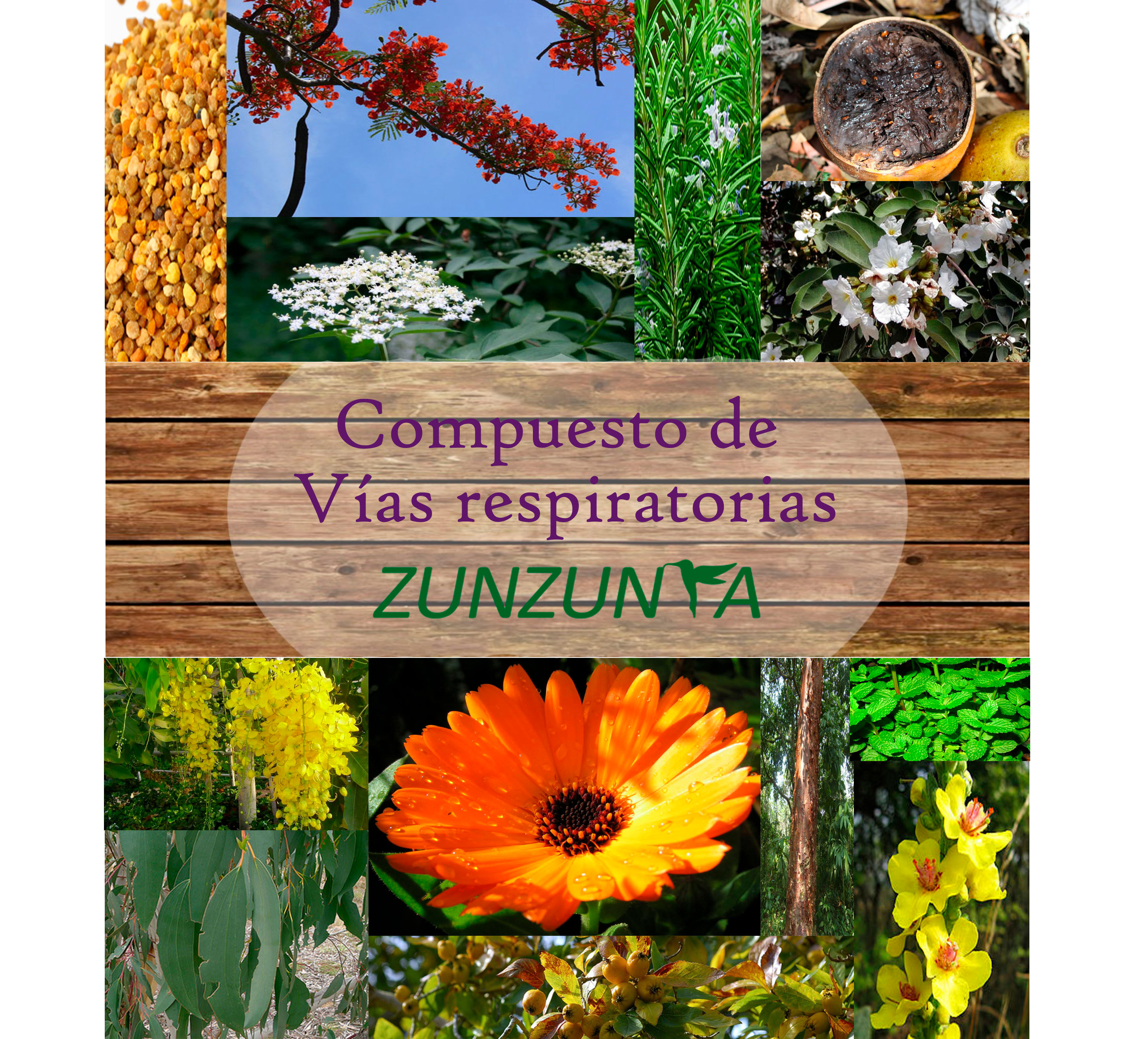 Problemas respiratorios, pulmones, bronquitis, tos, etc.