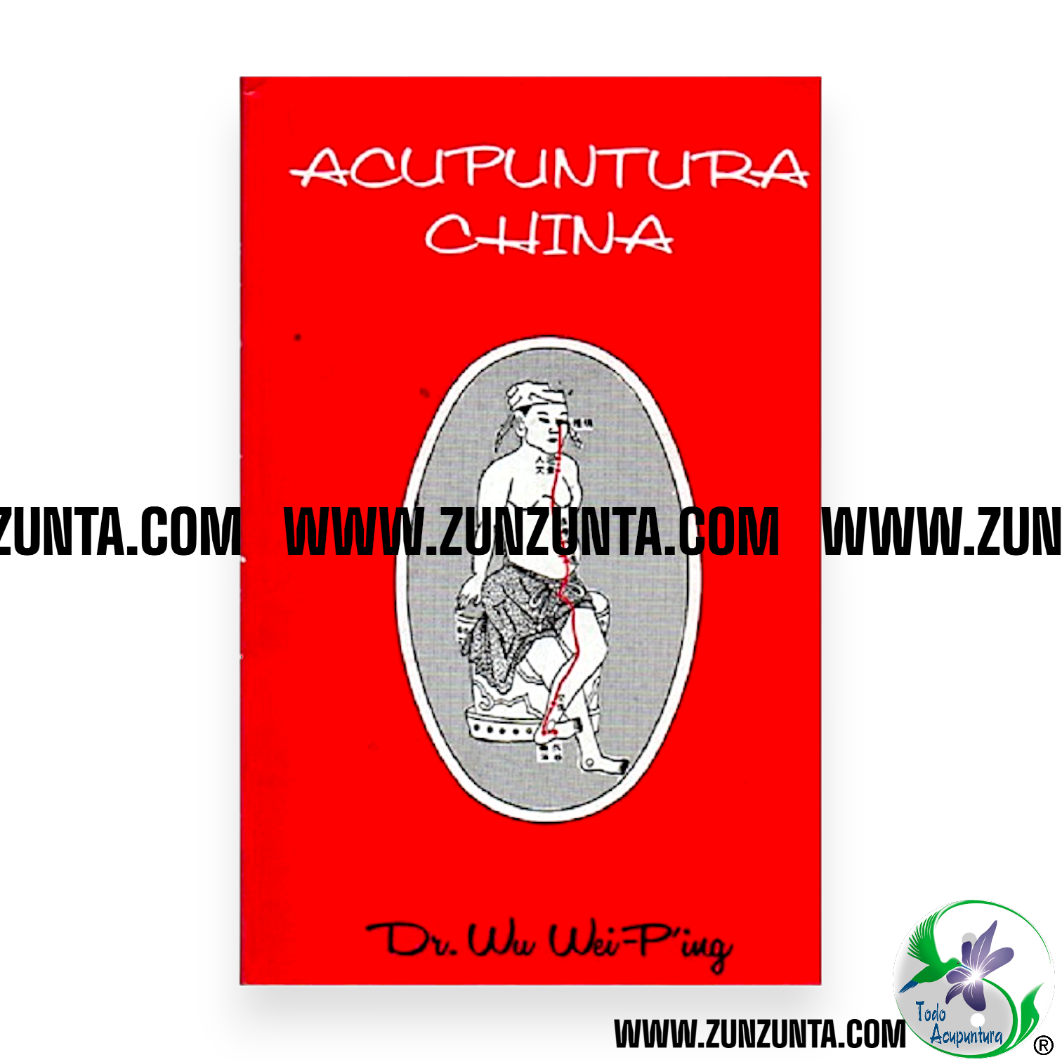 Libro Acupuntura China