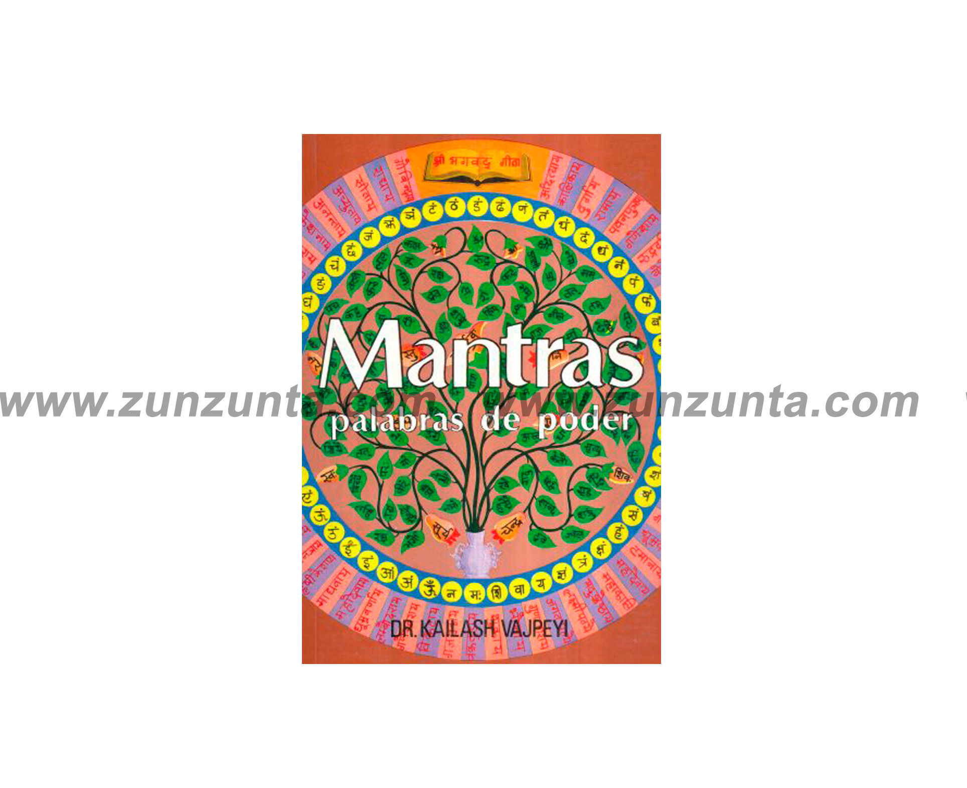 Libro "Mantras palabras de poder"