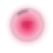250714_future brand model_einzeln-43.png