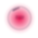 250714_future brand model_einzeln-44.png