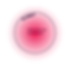 250714_future brand model_einzeln-45.png