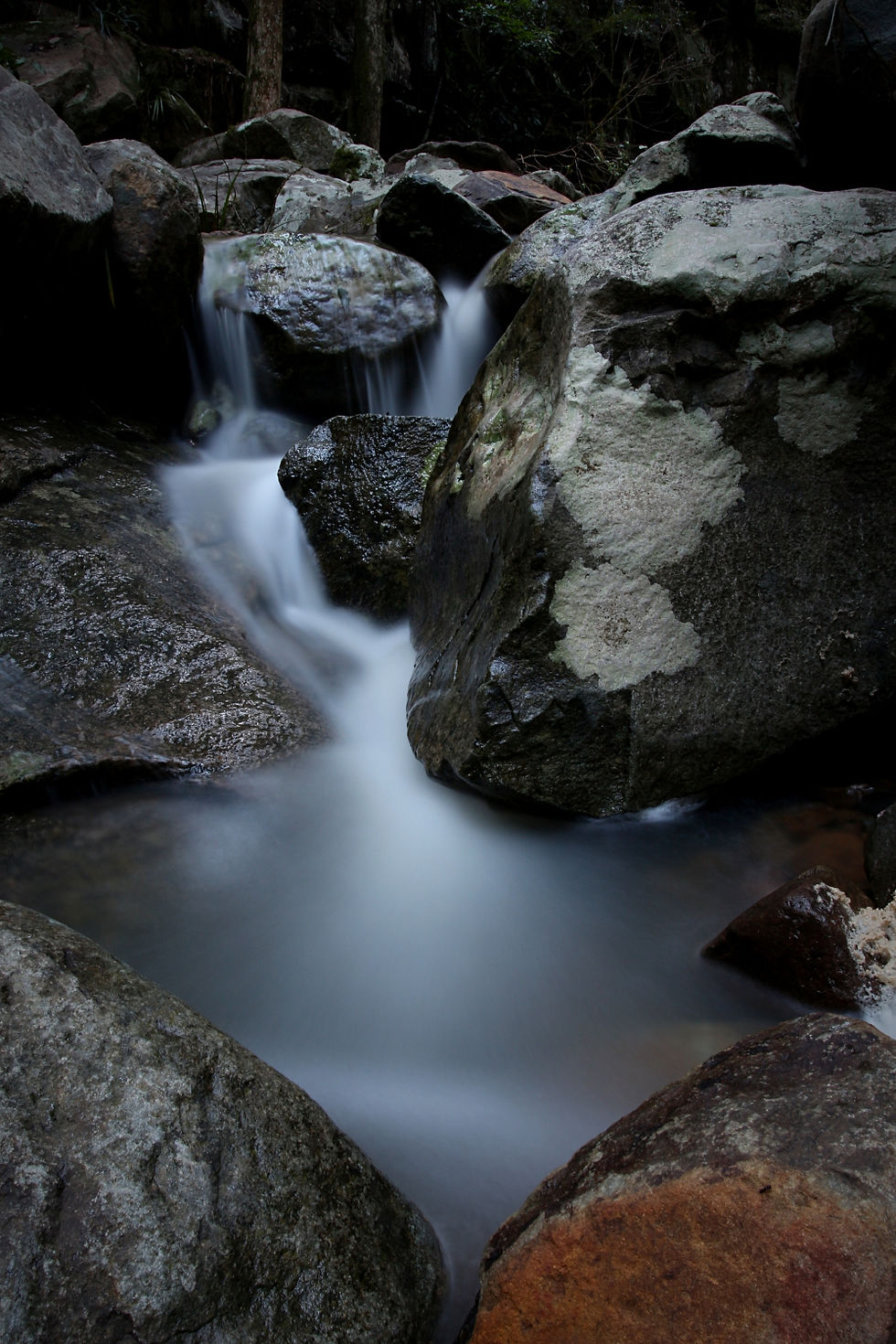 Cow's Head Creek