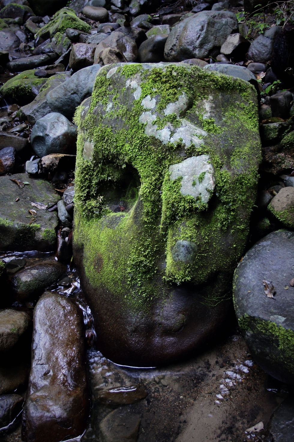 Natural sculpture