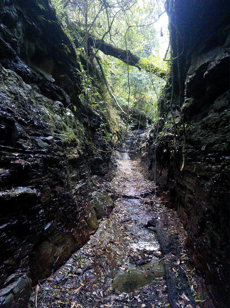 Cow's Head Creek gorge