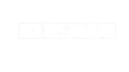 логотипа_Монтажная область 1.png