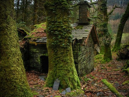 A la recherche de votre potentiel avec la sophrologie.