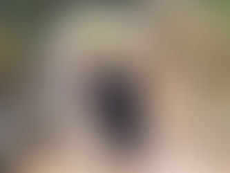 23년 06월 24일 초등1부 달란트잔치