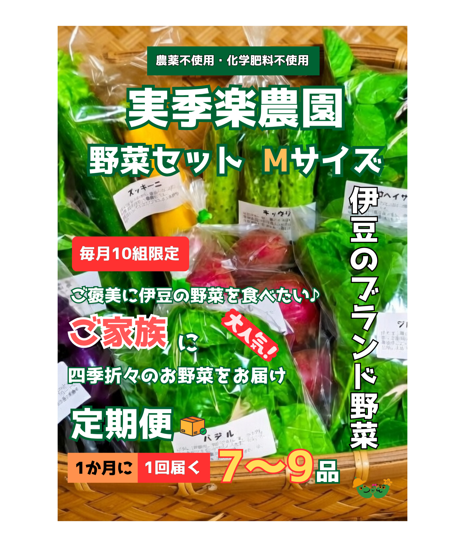 【定期便】月1回お届け　野菜セットMサイズ(7～9品目)
