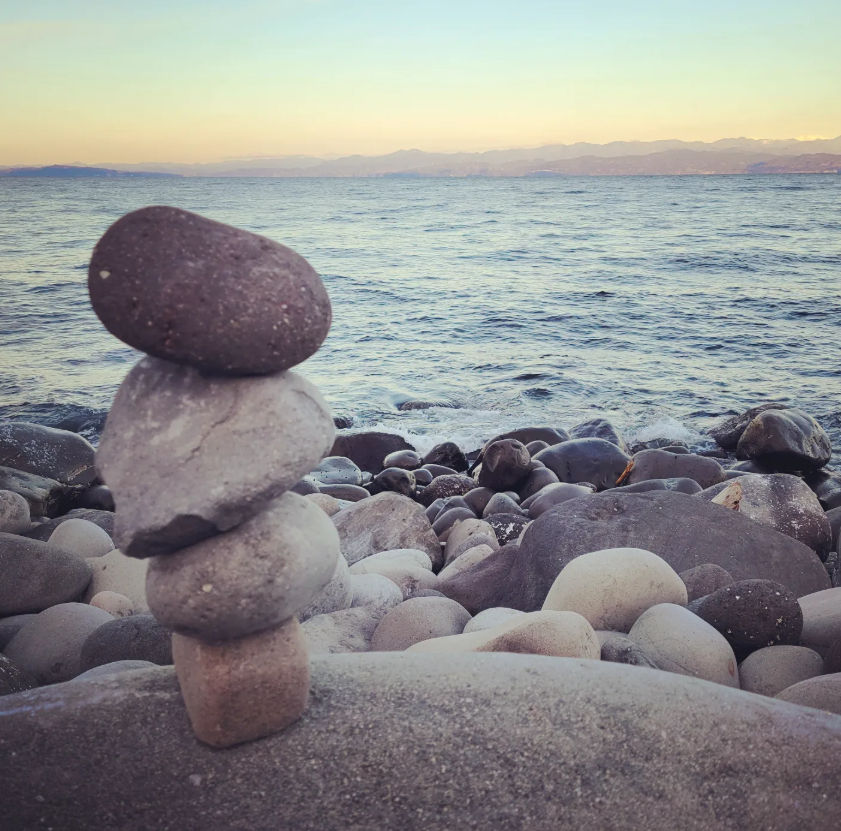 駿河湾の近くの農園