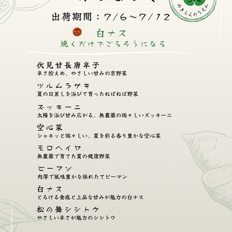 【実季楽農園の野菜セット】7/6〜7/12発送|白ナスが初登場!旬の夏野菜セット