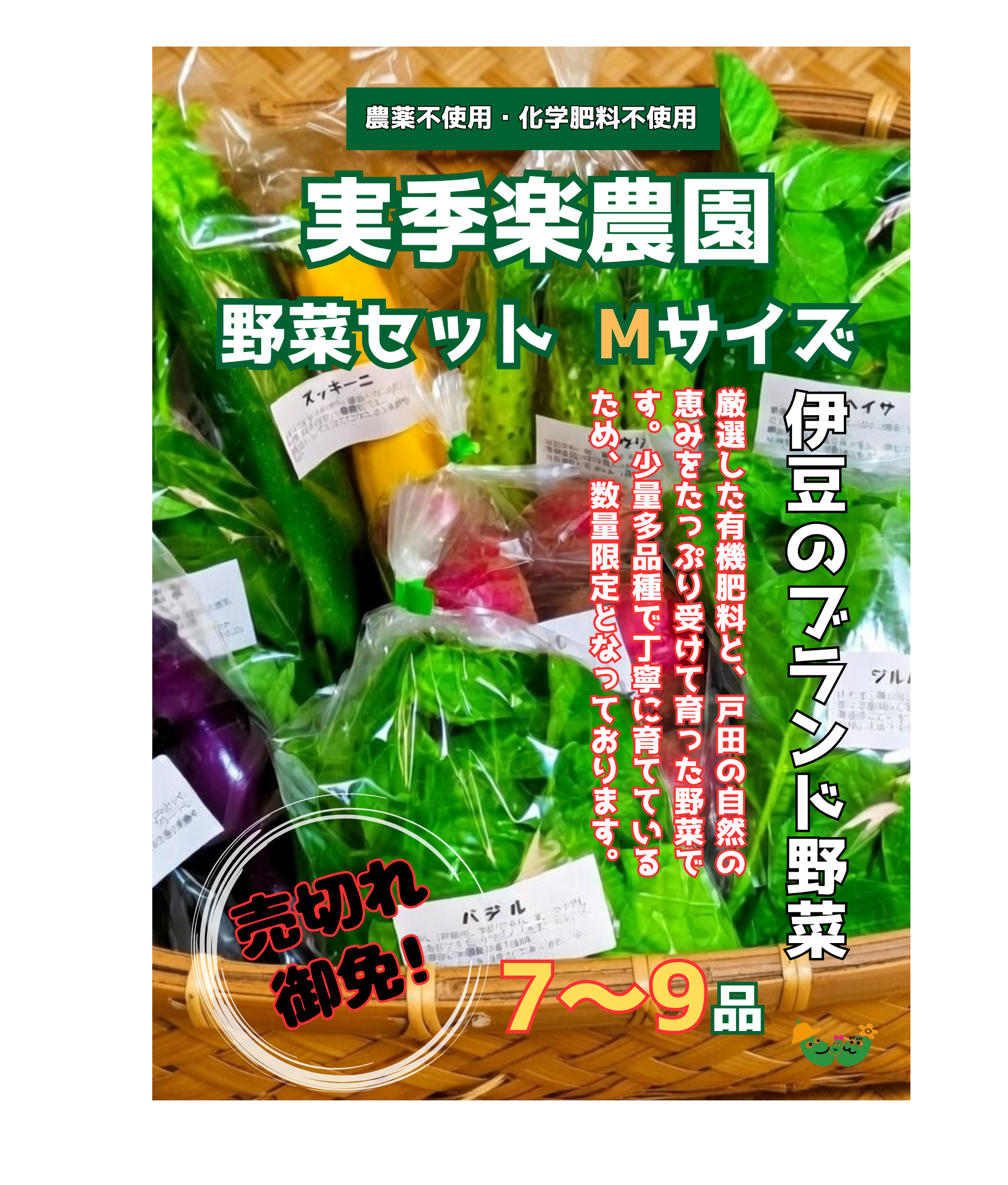 野菜セット Mサイズ(7~9品目)
