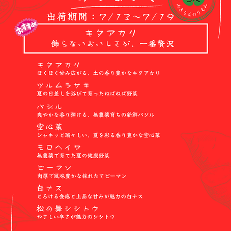 【実季楽農園の野菜セット】7/13〜7/19発送|香り豊かなバジルと旬の夏野菜をお届け
