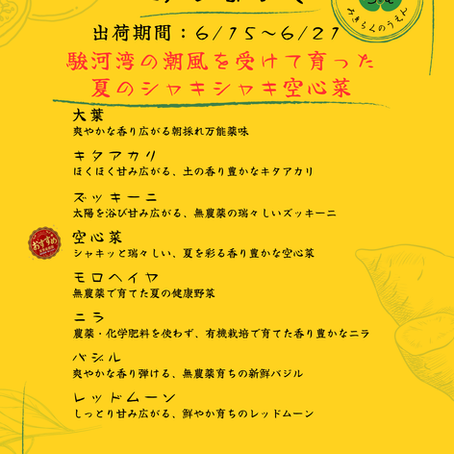 野菜セットのお知らせ 2026/6/15~6/21