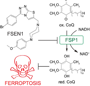 Screen Shot 2023-07-01 at 12.01.44 AM.png