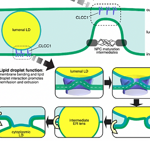 Screen Shot 2026-02-27 at 2.50_edited.pn