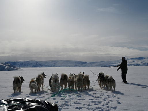 Cold day, warm cabin