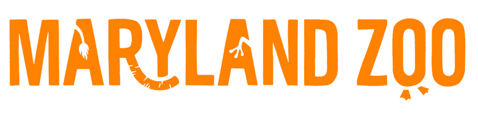 The BayNet: Maryland Zoo Now Offers Free Vision Assistance App For Guests