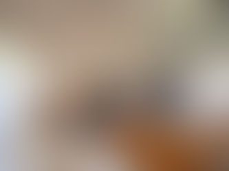 Exklusives Umbau-Konzept: Maßgefertigte Raumteiler-Lösung mit integriertem TV, Deckenhohe Fenster und durchdachtes Lichtkonzept vom Ingenieurbüro Lieblingsplan Jennifer Neuhauser.