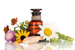 Homöopathie Praxis Zürich