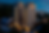 Untitled design (13).png