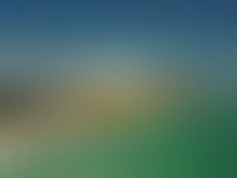 Palm Beach Co. hit record high in tourism, visitor spending for early 2024!