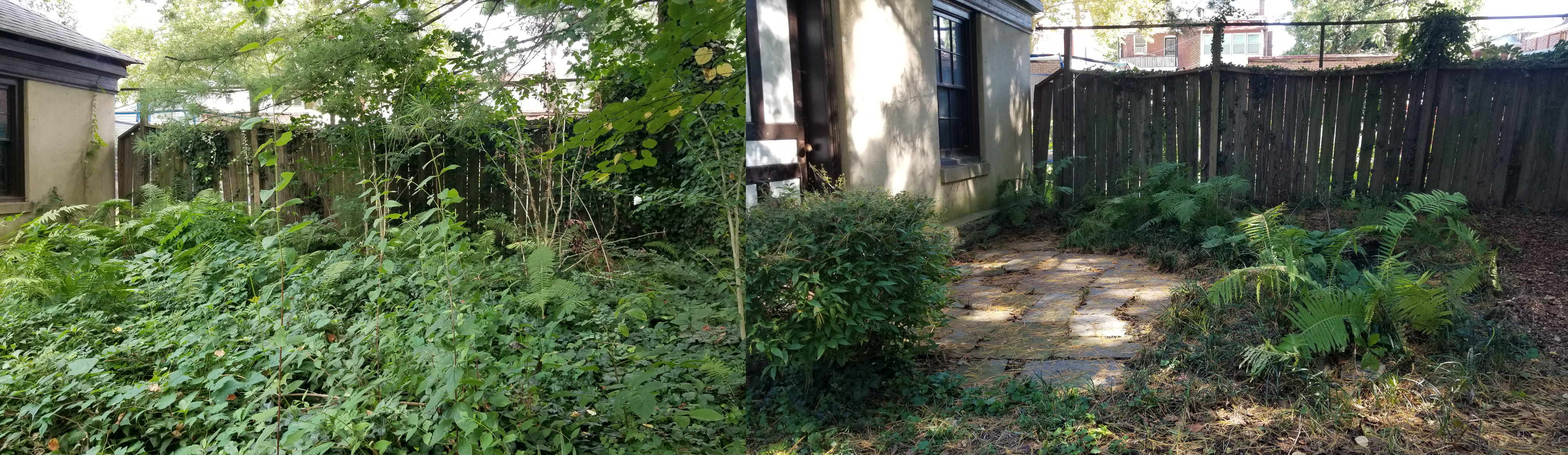 Patio clearing