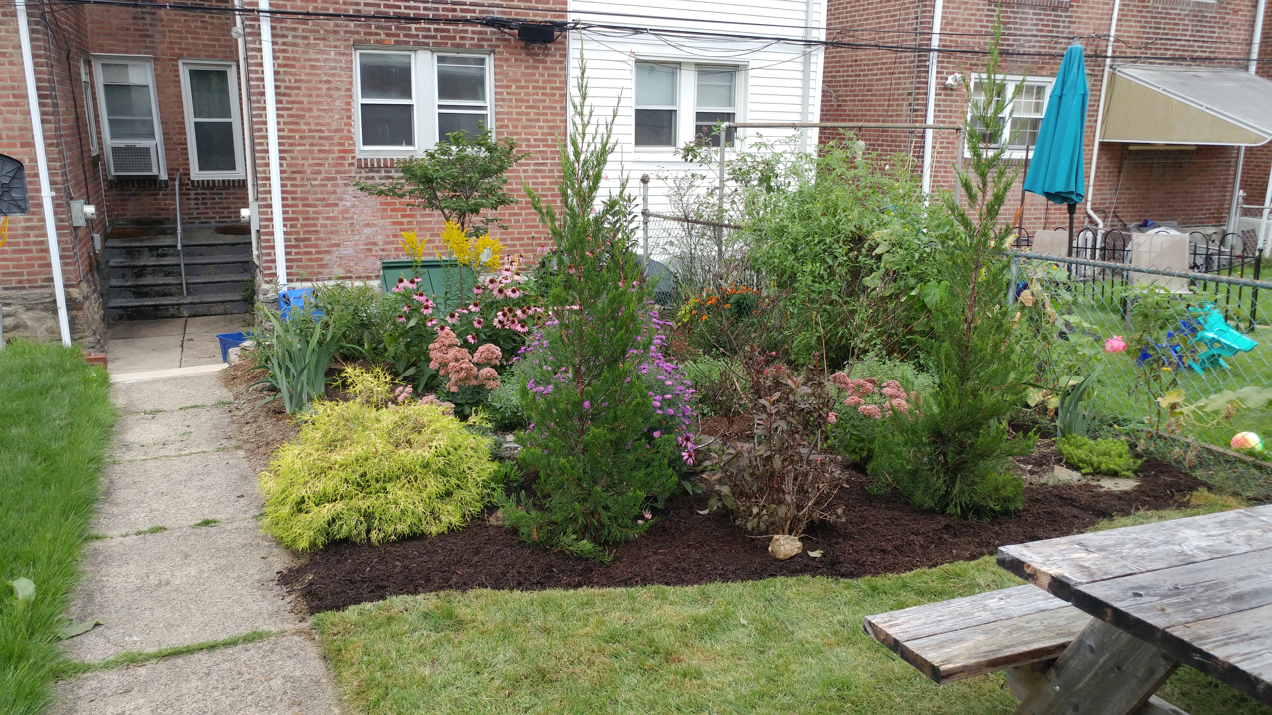 Manayunk Backyard