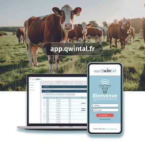 Découvrez la nouvelle version de notre appli web : Plus moderne, plus intuitive, plus performante !