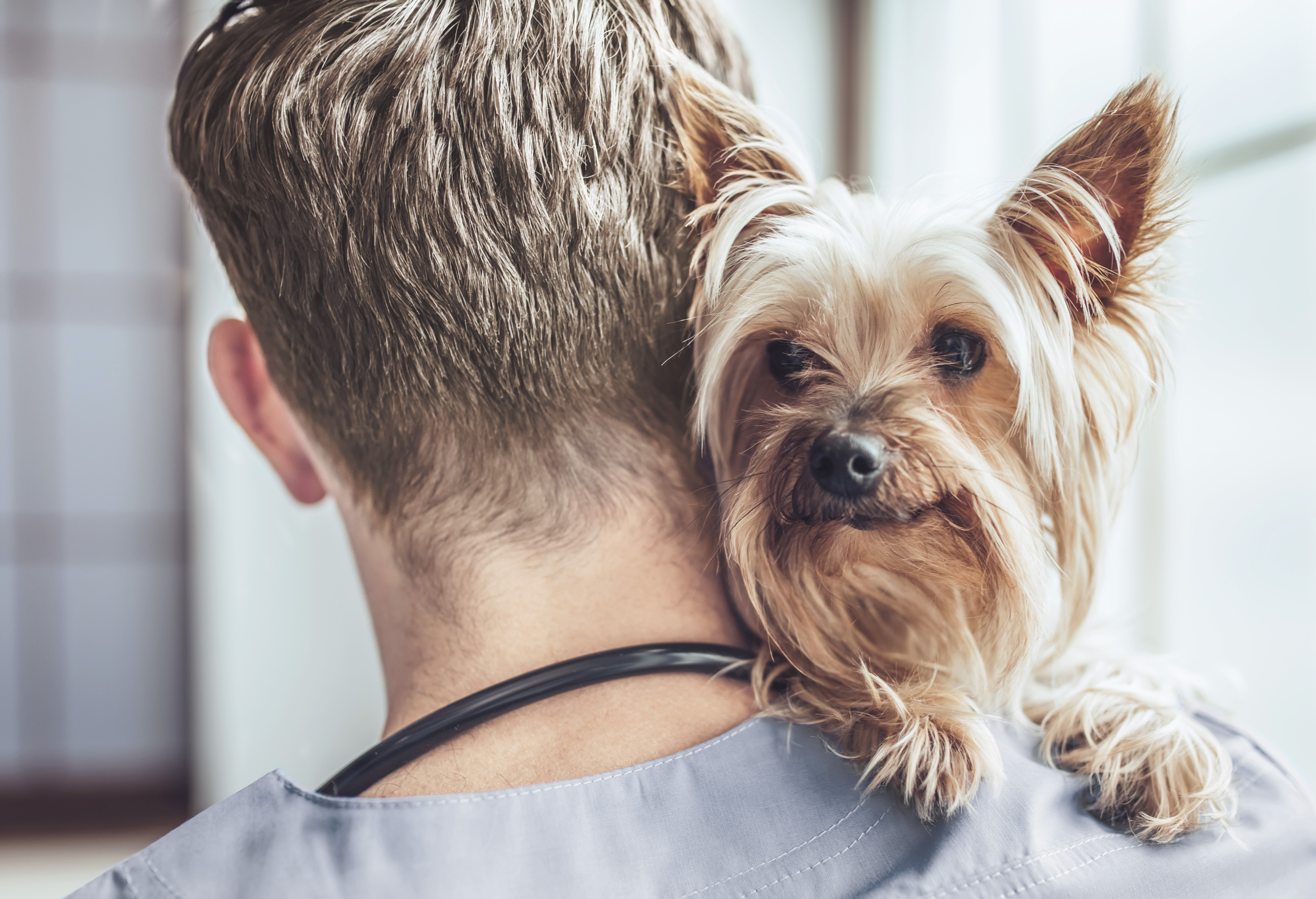 friends and family veterinarian