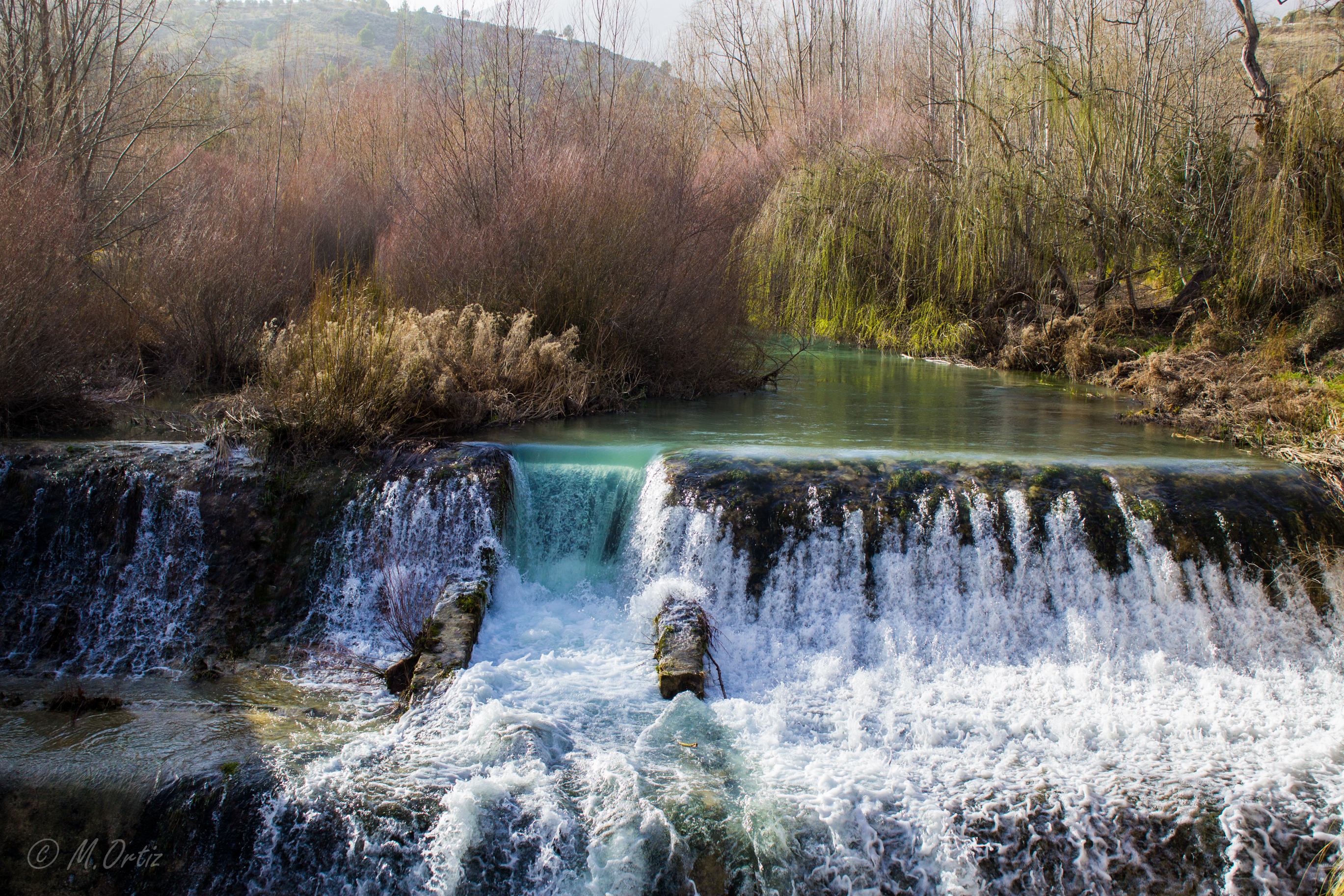 Presa