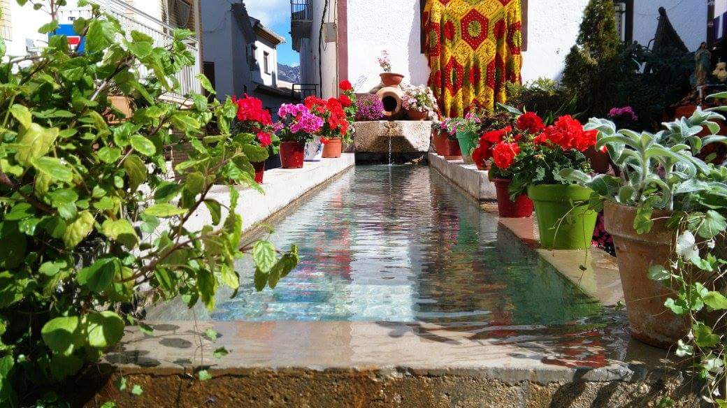 Fuente Árbol Gordo