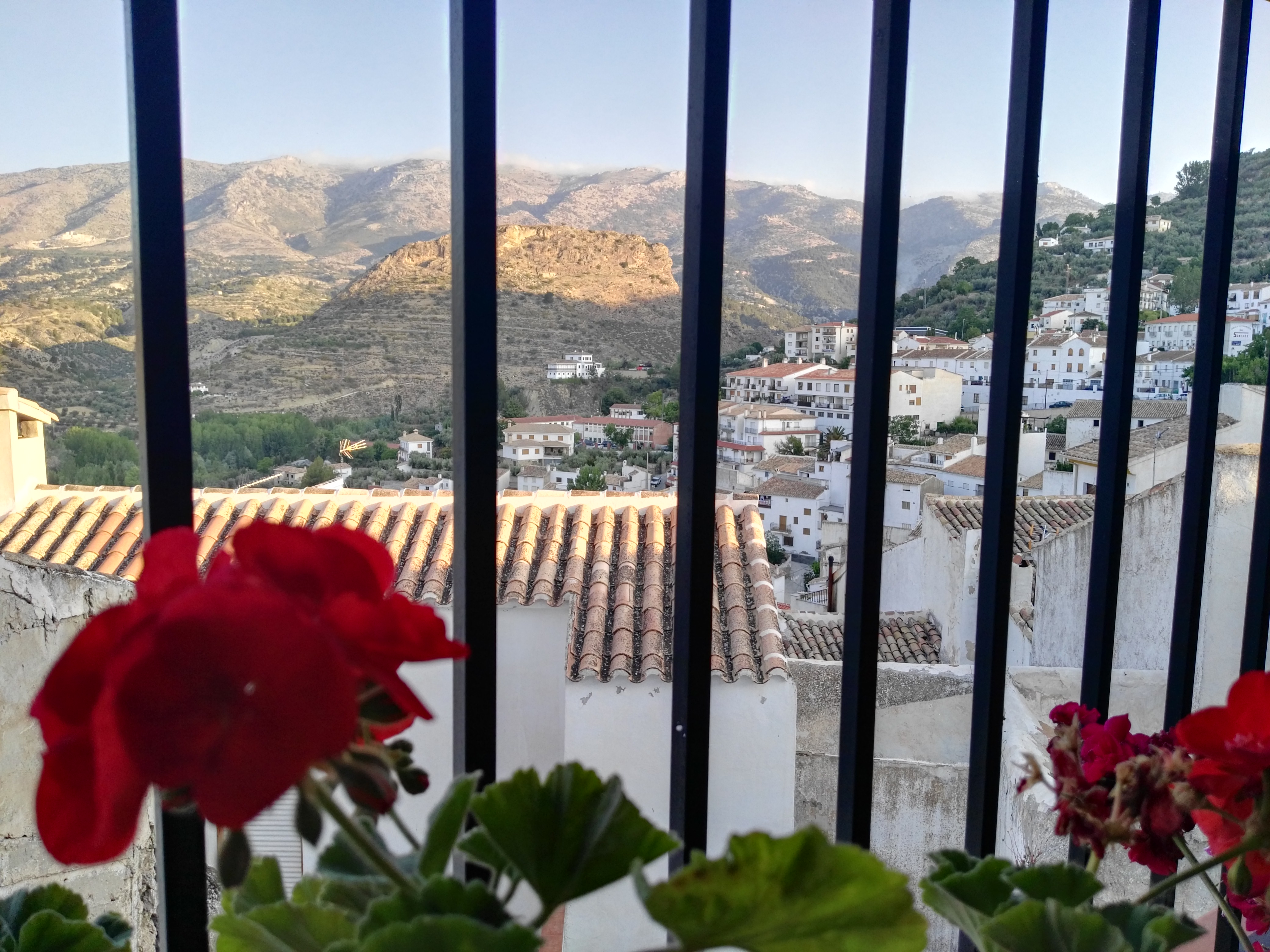 Castril , geranios
